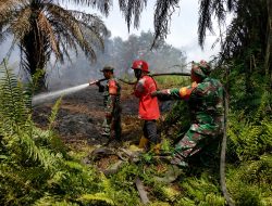 TNI Siagakan 66.510 Personel Tangani Karhutla di Seluruh Indonesia