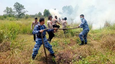 Komandan Lanud Sjamsudin Noor Pimpin Langsung Pemadaman Kebakaran Hutan dan Lahan di Kalimantan Selatan 8