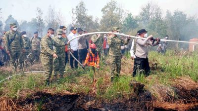 Komandan Lanud Sjamsudin Noor Dampingi Pangkodau II Tinjau Langsung Penanggulangan Karhutla di Kalimantan Selatan 7