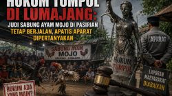 ‎Hukum Tumpul di Lumajang: Judi Sabung Ayam Mojo di Pasirian Tetap Berjalan, Apatis Aparat Dipertanyakan ‎