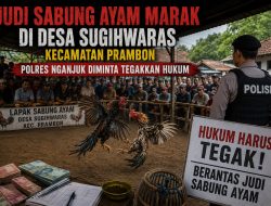 ‎Judi Sabung Ayam Marak di Desa Sugihwaras Kecamatan Prambon — Polres Nganjuk Diminta Tegakkan Hukum
