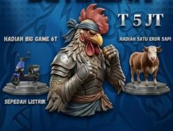 ‎BL Arena Gelar Liga Sabung Ayam — Kapolres Jember AKBP Alaiddin Diam Saja!