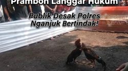 ‎Terang-Terangan! Praktik Perjudian Sabung Ayam Prambon Langgar Hukum — Publik Desak Polres Nganjuk Bertindak!