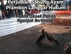 ‎Terang-Terangan! Praktik Perjudian Sabung Ayam Prambon Langgar Hukum — Publik Desak Polres Nganjuk Bertindak!
