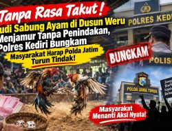 ‎Tanpa Rasa Takut! Judi Sabung Ayam di Dusun Weru Menjamur Tanpa Penindakan, Polres Kediri Bungkam — Masyarakat Harap Polda Jatim Turun Tindak!