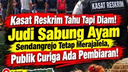 ‎Kasat Reskrim Tahu Tapi Diam! Judi Sabung Ayam Sendangrejo Tetap Merajalela, Publik Curiga Ada Pembiaran!