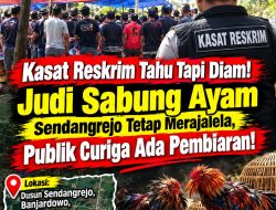 ‎Kasat Reskrim Tahu Tapi Diam! Judi Sabung Ayam Sendangrejo Tetap Merajalela, Publik Curiga Ada Pembiaran!