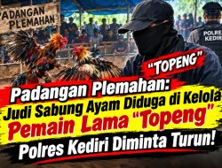 Padangan Plemahan: Judi Sabung Ayam Diduga di Kelola Pemain Lama “Topeng” — Polres Kediri Diminta Turun!