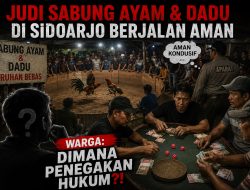 ‎Judi Sabung Ayam & Dadu di Sidoarjo Berjalan Aman — Warga: Dimana Penegakan Hukum?!