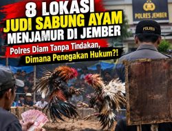 ‎8 Lokasi Judi Sabung Ayam Menjamur di Jember – Polres Diam Tanpa Tindakan, Dimana Penegakan Hukum?!