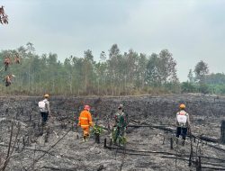 Penanganan Karhutla di Wilayah Kalbar Terus Membaik, Titik Api Turun