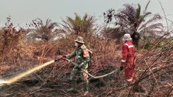 Penanganan Karhutla Sektor Selatan Kalbar Diperkuat, TNI Alihkan Perkuatan Pasukan