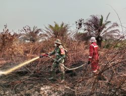 Penanganan Karhutla Sektor Selatan Kalbar Diperkuat, TNI Alihkan Perkuatan Pasukan