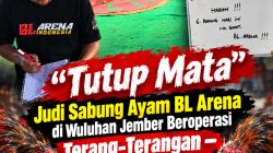‎”Tutup Mata”? Judi Sabung Ayam BL Arena di Wuluhan Jember Beroperasi Terang-Terangan — Diduga Dapat Perlindungan, Uang Berputar Ratusan Juta!