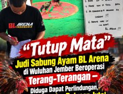 ‎”Tutup Mata”? Judi Sabung Ayam BL Arena di Wuluhan Jember Beroperasi Terang-Terangan — Diduga Dapat Perlindungan, Uang Berputar Ratusan Juta!