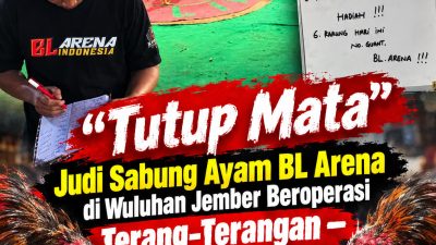 "Tutup Mata"? Judi Sabung Ayam BL Arena di Wuluhan Jember Beroperasi Terang-Terangan — Diduga Dapat Perlindungan, Uang Berputar Ratusan Juta! 6