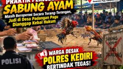 ‎Masih Beroperasi Secara Terang-Terangan, Judi di Desa Padangan Pagu Dianggap Kebal Hukum — Warga Desak Polres Kediri Bertindak Tegas ‎