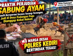 ‎Masih Beroperasi Secara Terang-Terangan, Judi di Desa Padangan Pagu Dianggap Kebal Hukum — Warga Desak Polres Kediri Bertindak Tegas ‎