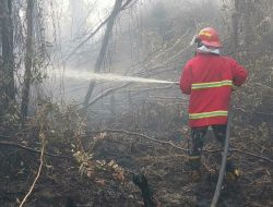 Memburu Bara di Balik Kepulan Asap, Satgas Darat Lanud Sjamsudin Noor Tak Beri Ruang Karhutla Kembali Menyala
