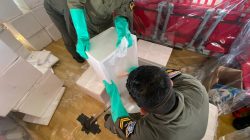 TNI Kerahkan CN-295 dan Cassa C-212 untuk Operasi Modifikasi Cuaca di Kalimantan 3